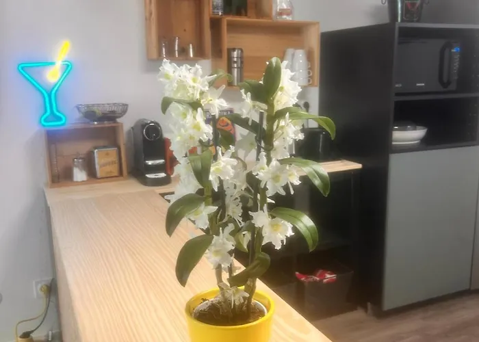 Retro Nature Avec Jardin 15 Min Toulouse Centre * Saint-Genies-Bellevue