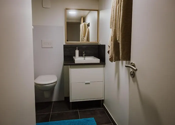 Apartment Retro Nature Avec Jardin 15 Min Toulouse Centre *